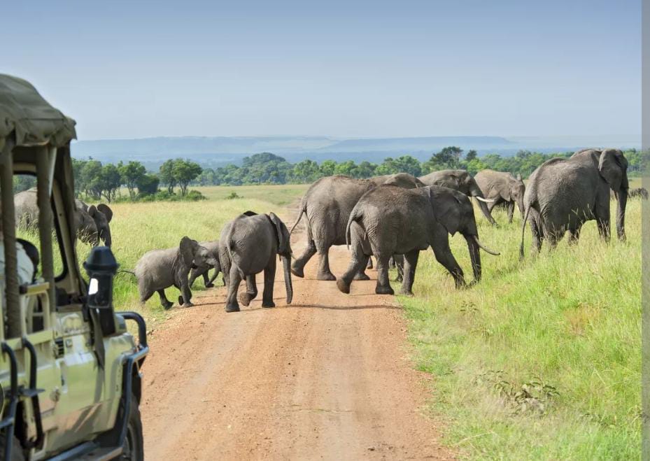 African destination