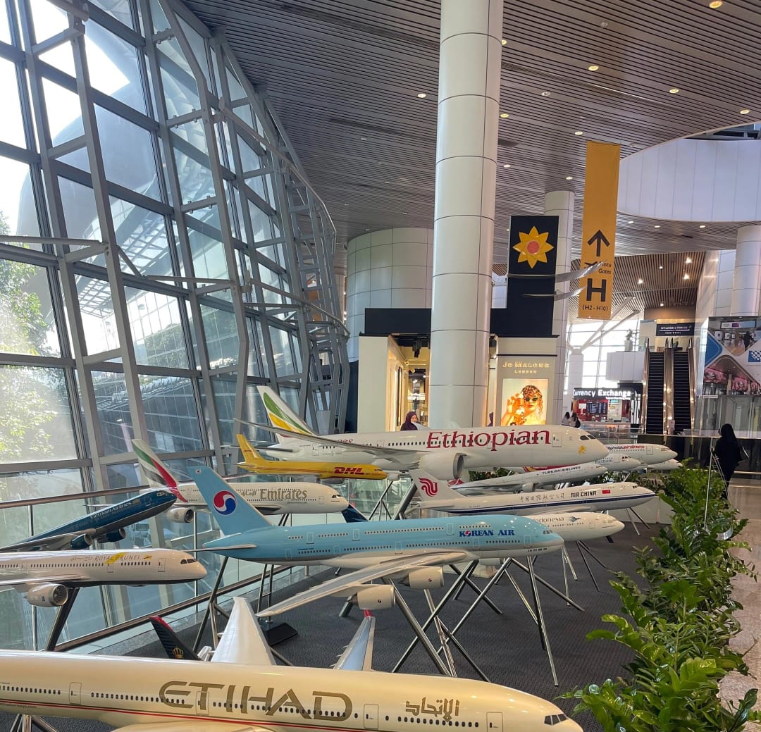 Flight travel experience