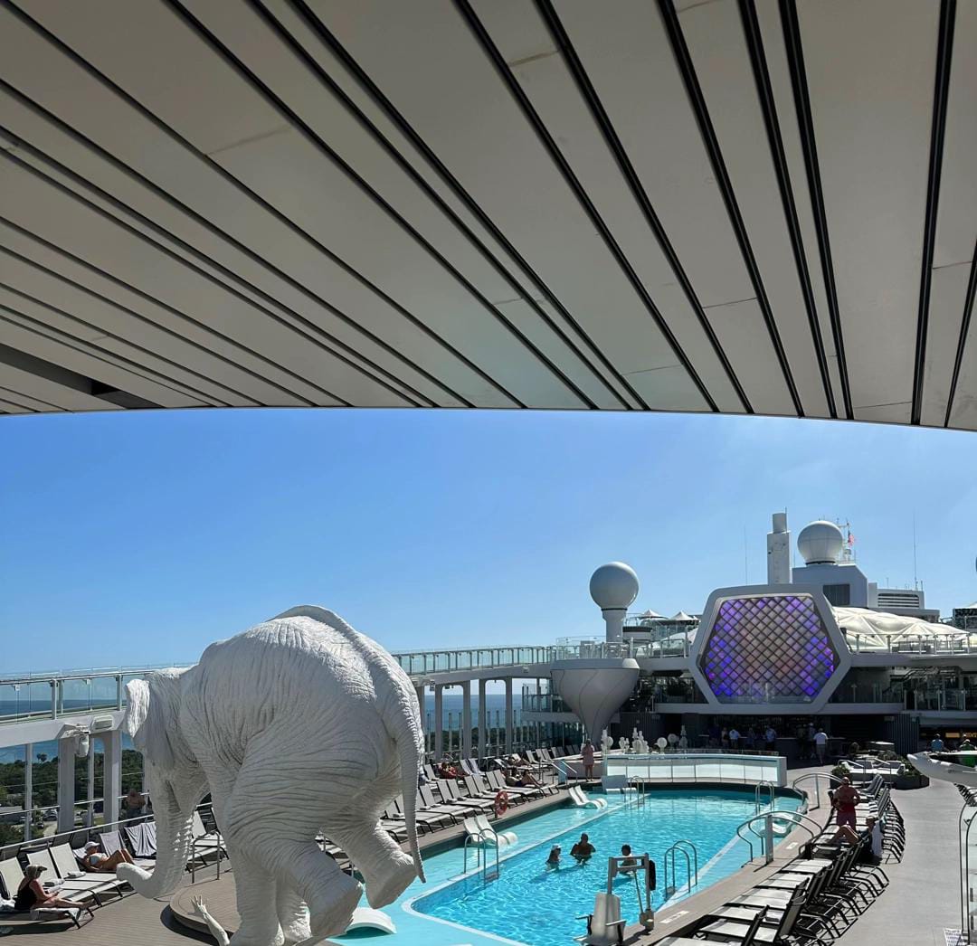 Africa and Indian Ocean cruise
