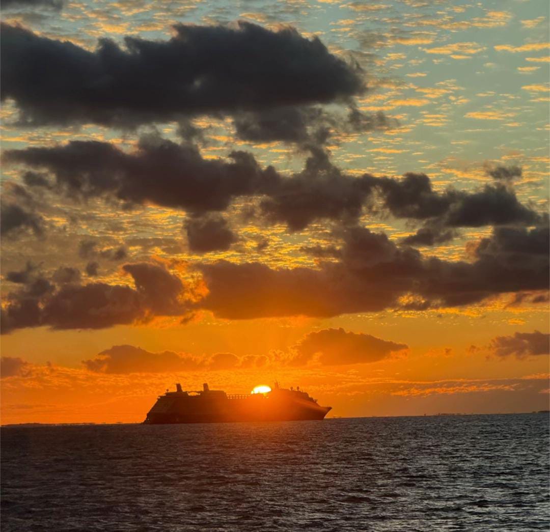 Ocean and sea cruise